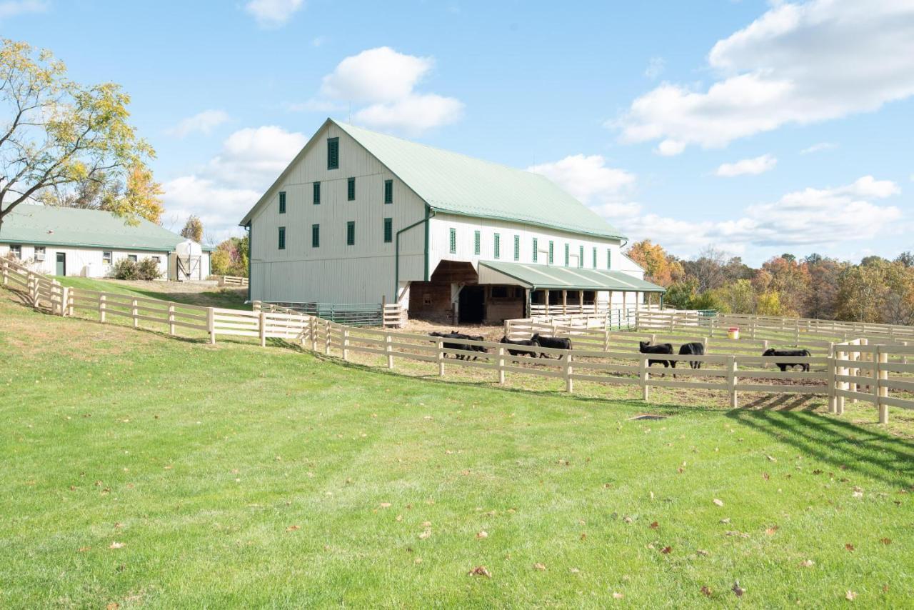 Villa Cozy Cow With Pool! Gettysburg Exterior foto