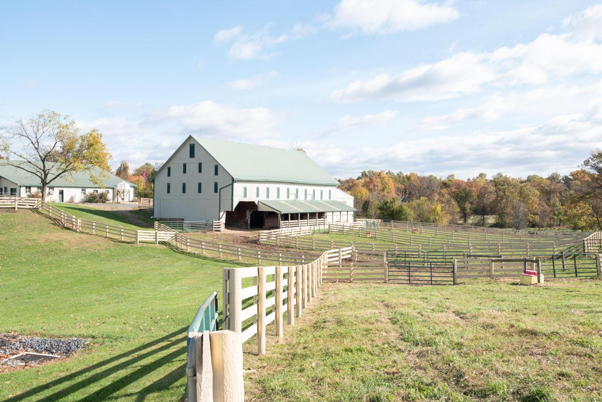 Villa Cozy Cow With Pool! Gettysburg Exterior foto